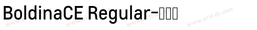 BoldinaCE Regular字体转换
